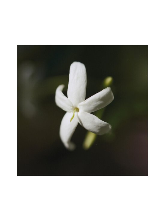 Chloe - Nomade Naturelle EdP -tuoksu - NOCOL - photo 7 Chloe - Nomade Naturelle EdP -tuoksu - NOCOL | Stockmann - photo 7