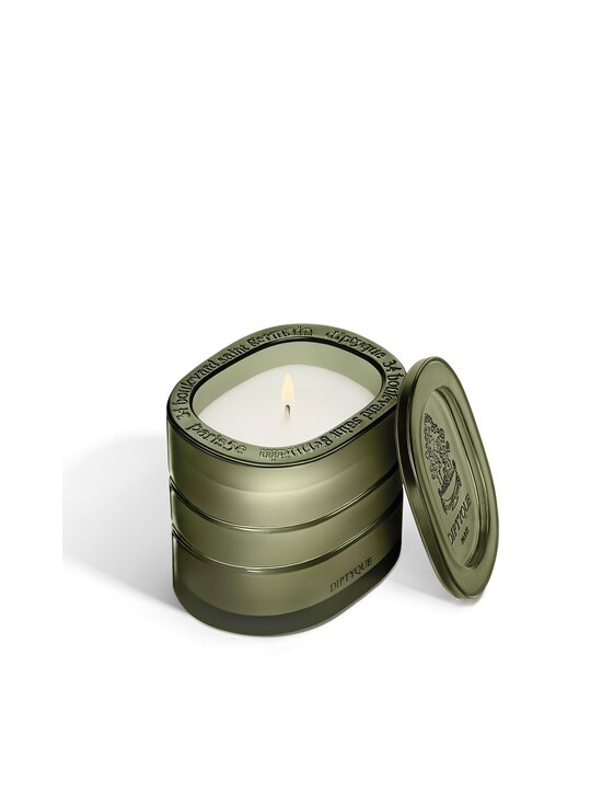 Diptyque - Temple Des Mousses aromātiskā svece 270 g - NOCOL - photo 4 Diptyque - Temple Des Mousses aromātiskā svece 270 g - NOCOL | Stockmann - photo 4