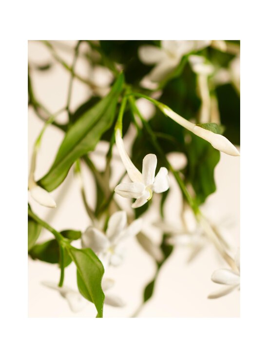 Rituals - Sweet Jasmine Hand Wash šķidrās ziepes - NOCOL | Stockmann - photo 4