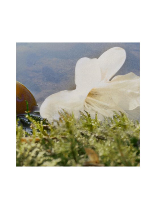 Chloe - Nomade EdP - NOCOL - photo 6 Chloe - Nomade EdP - NOCOL | Stockmann - photo 6