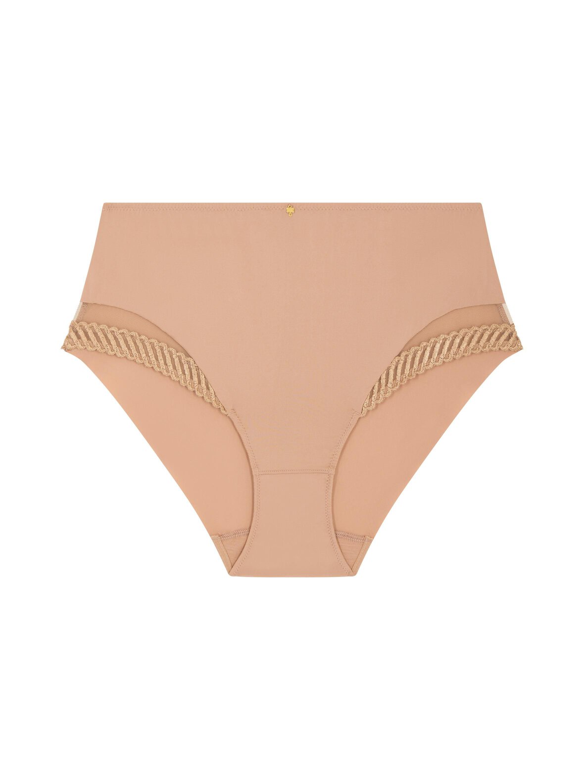 Sheer Emotion Highwaisted Brief -alushousut
