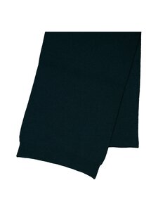Colorful Standard - Merino-huivi 200 x 31 cm - GREEN | Stockmann