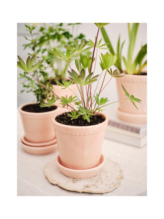 Bergs Potter - Helena Glazed -ruukku 16 cm - ROSE - photo 2 Bergs Potter - Helena Glazed -ruukku 16 cm - ROSE | Stockmann - photo 2