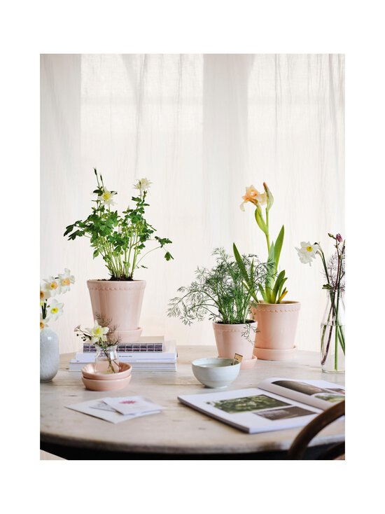 Bergs Potter - Helena Glazed -ruukku 16 cm - ROSE - photo 3 Bergs Potter - Helena Glazed -ruukku 16 cm - ROSE | Stockmann - photo 3