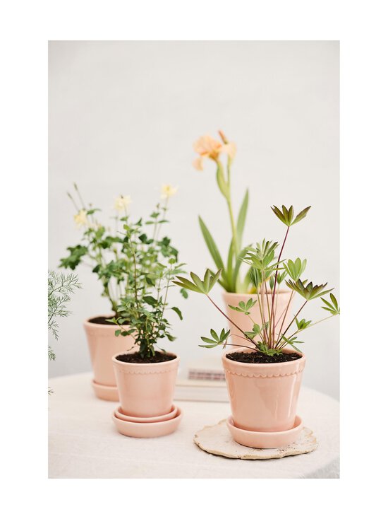 Bergs Potter - Helena Glazed -ruukku 16 cm - ROSE - photo 4 Bergs Potter - Helena Glazed -ruukku 16 cm - ROSE | Stockmann - photo 4