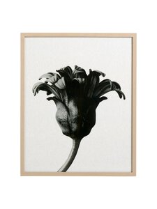 BoConcept - Forms in Nature -taulu - BEIGE,MUSTA,HARMAA,LUONNONVALKOINEN | Stockmann