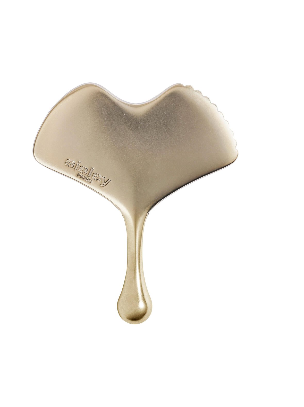 Ginkgo Gua Sha -hierontakivi