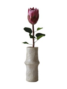Botané - King Protea -tekokukka - RED | Stockmann