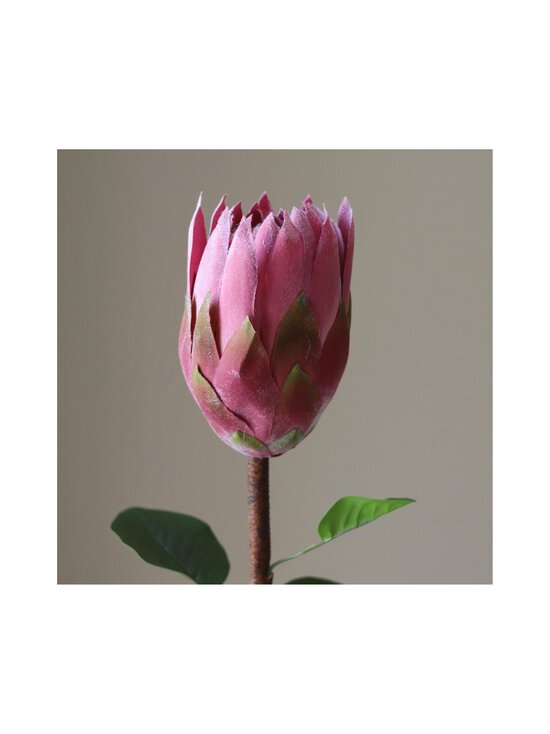 Botané - King Protea -tekokukka - RED | Stockmann - photo 2
