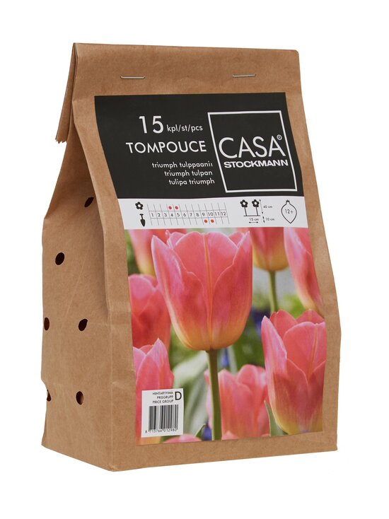 Tompouce tulpju sīpoli 15 gab