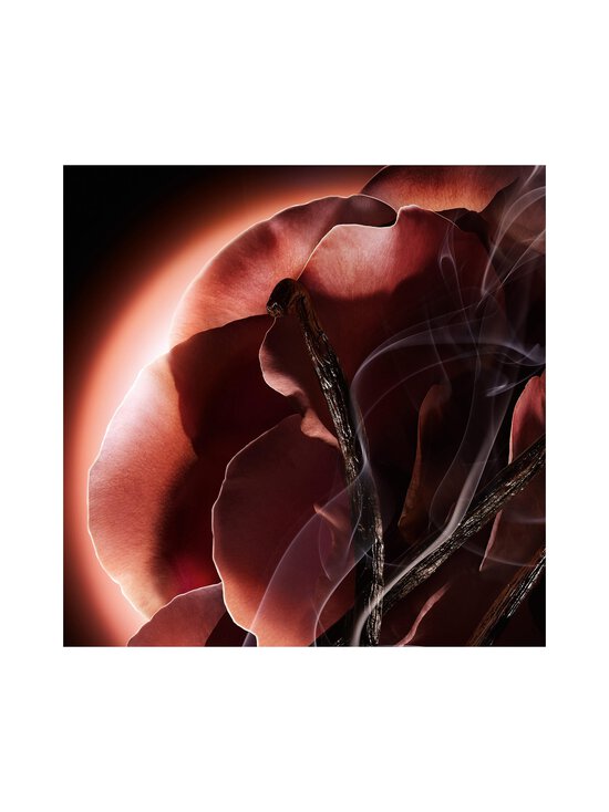 Lancôme - Absolue Hidden By A Rose EdP -tuoksu - NOCOL | Stockmann - photo 6