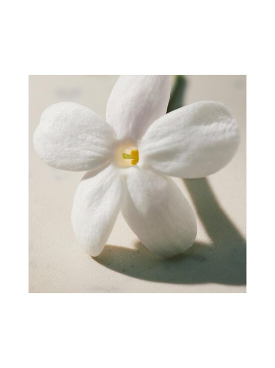 Chloe - L'Eau De Parfum Lumineuse EdP- tuoksu 30 ml - NOCOL - photo 6 Chloe - L'Eau De Parfum Lumineuse EdP- tuoksu 30 ml - NOCOL | Stockmann - photo 6