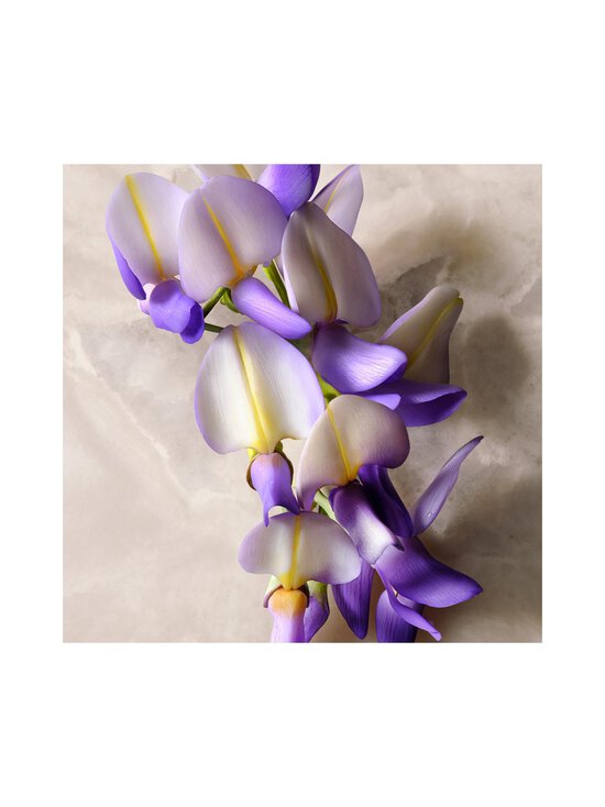 Gucci - Guilty Absolu de Parfum Pour Femme -tuoksu, 60 ml - NOCOL | Stockmann - photo 5