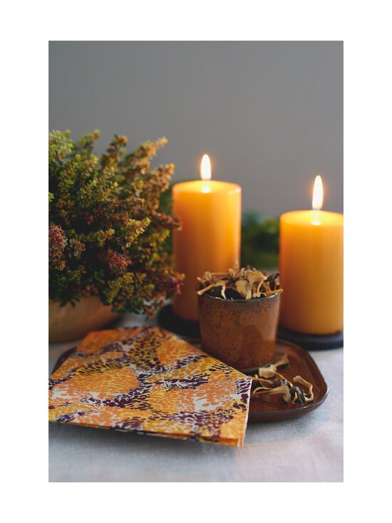 Havi - Jäkälä salvetes 20 gab. 33 cm - MULTICOLOR | Stockmann - photo 2