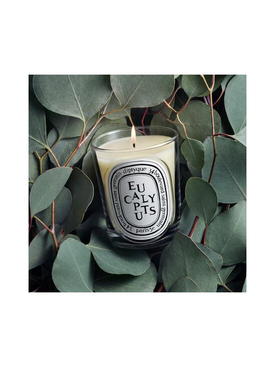 Diptyque - Eucalyptus Classic -tuoksukynttilä 190 g - NOCOL | Stockmann - photo 4