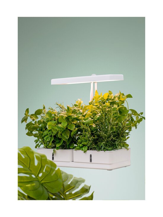 Airam - Daisy augu lampa - WHITE - photo 5 Airam - Daisy augu lampa - WHITE | Stockmann - photo 5