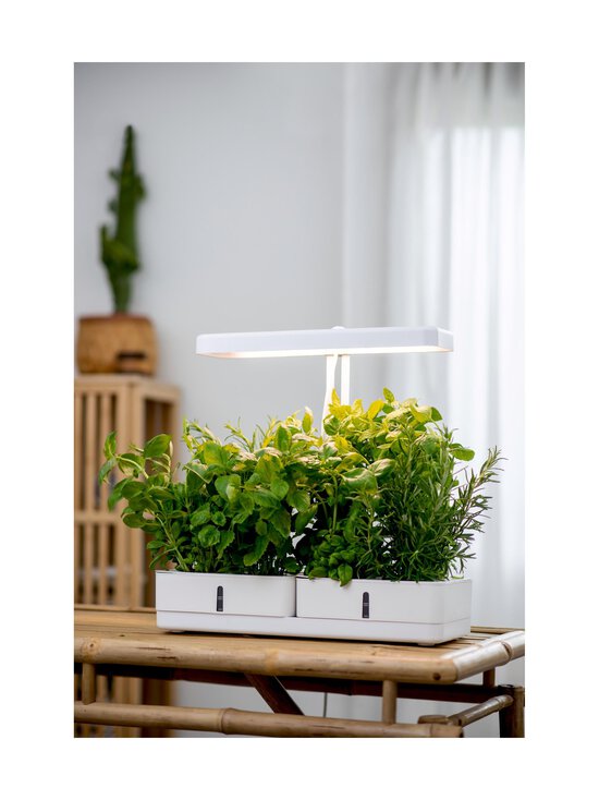 Airam - Daisy augu lampa - WHITE - photo 6 Airam - Daisy augu lampa - WHITE | Stockmann - photo 6