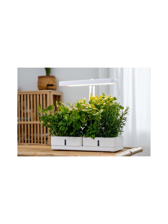 Airam - Daisy augu lampa - WHITE - photo 7 Airam - Daisy augu lampa - WHITE | Stockmann - photo 7