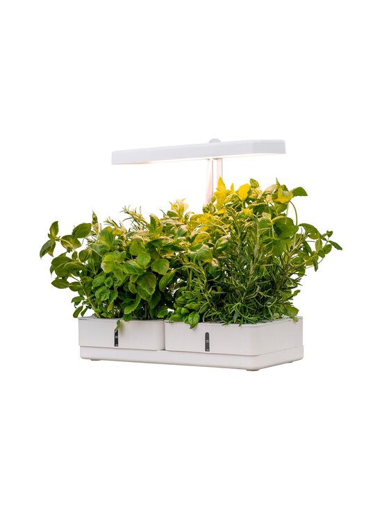 Airam - Daisy augu lampa - WHITE - photo 8 Airam - Daisy augu lampa - WHITE | Stockmann - photo 8