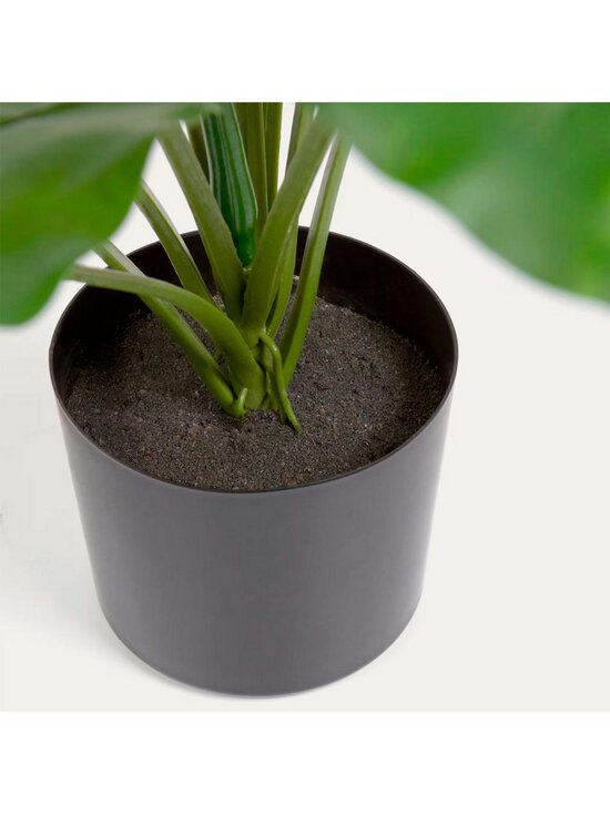 Kave Home - Alocasia-tekokasvi K 57 cm - BLACK | Stockmann - photo 6