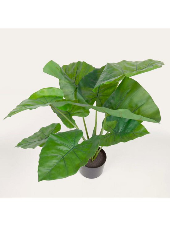 Kave Home - Alocasia-tekokasvi K 57 cm - BLACK | Stockmann - photo 2