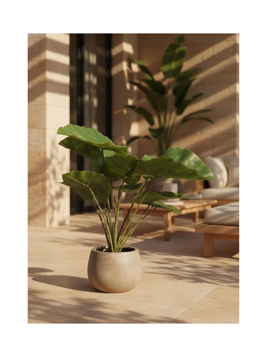 Kave Home - Alocasia-tekokasvi K 57 cm - BLACK | Stockmann - photo 3