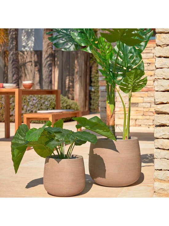 Kave Home - Alocasia-tekokasvi K 57 cm - BLACK | Stockmann - photo 4