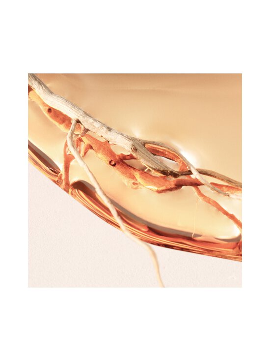 BOSS - Alive Intense EdP -tuoksu - NOCOL - photo 7 BOSS - Alive Intense EdP -tuoksu - NOCOL | Stockmann - photo 7