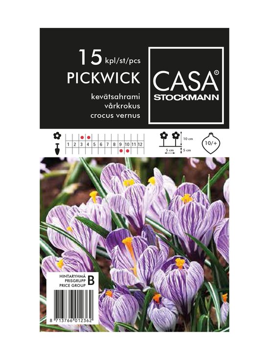 Spring Saharahrami Tulpju sīpoli, 15 gab