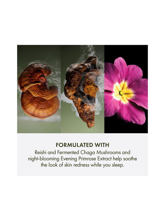 Origins - Dr. Weil Mega Mushroom Overnight Recovery Cream -yövoide - NOCOL | Stockmann - photo 5