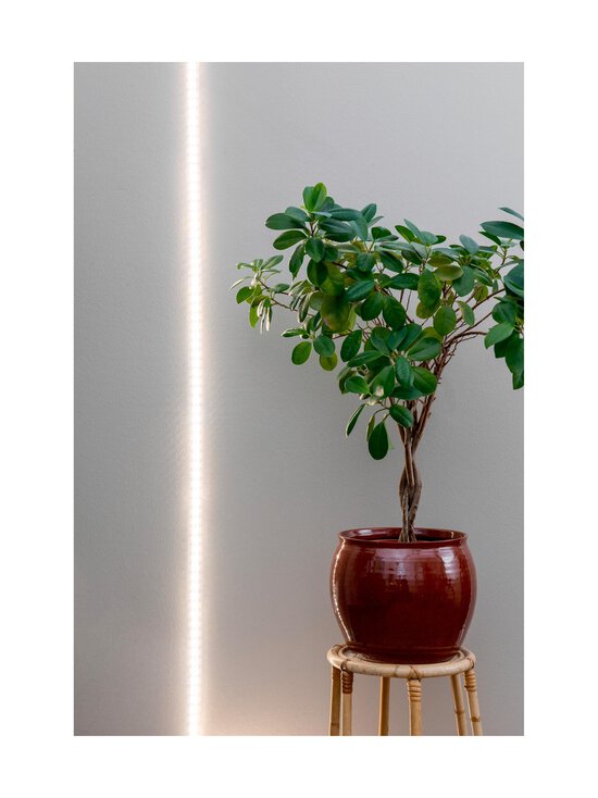 Airam - Plant Light Led Strip - LED-kasvivalaisin 2m - WHITE - photo 3 Airam - Plant Light Led Strip - LED-kasvivalaisin 2m - WHITE | Stockmann - photo 3