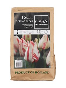 Casa Stockmann - Spryng Break -kukkasipulit - PINKKI Casa Stockmann - Spryng Break -kukkasipulit - PINKKI | Stockmann