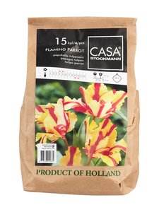 Casa Stockmann - Flaming Parrot tulppaani -kukkasipulit - KELTAINEN/PUNAINEN Casa Stockmann - Flaming Parrot tulppaani -kukkasipulit - KELTAINEN/PUNAINEN | Stockmann
