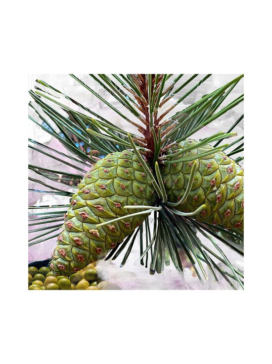 BYREDO - Gypsy Water Huile Pour Le Corps Body Oil ķermeņa eļļa - NOCOL | Stockmann - photo 4