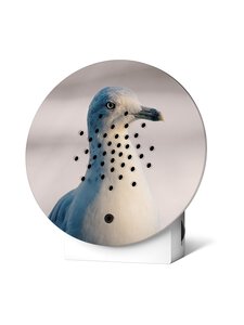 Relaxound - Helikast Oceanbox White Seagull - MULTICOLOUR | Stockmann