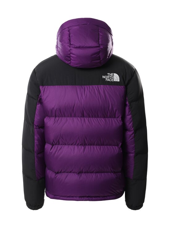 north face windwall 2
