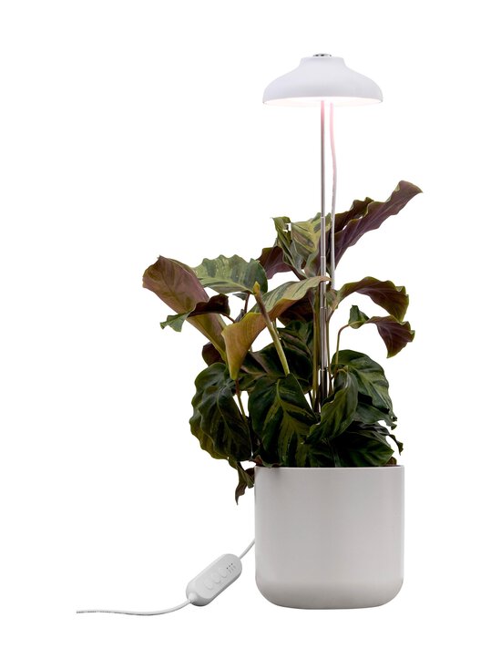 Airam - Plant Light Iris -kasvivalaisin 5W/835 240 lm - WHITE - photo 2 Airam - Plant Light Iris -kasvivalaisin 5W/835 240 lm - WHITE | Stockmann - photo 2