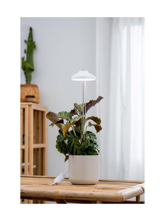 Airam - Plant Light Iris -kasvivalaisin 5W/835 240 lm - WHITE - photo 3 Airam - Plant Light Iris -kasvivalaisin 5W/835 240 lm - WHITE | Stockmann - photo 3