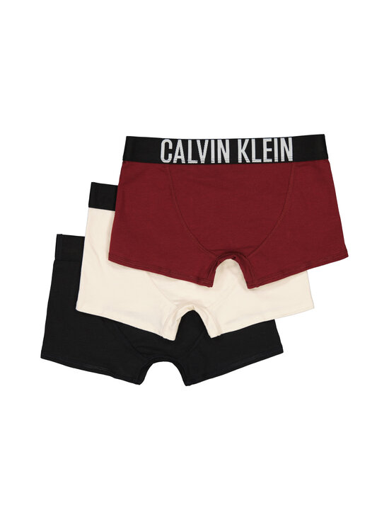 Calvin Klein Kids - Bokserialushousut 3-pack - 0WE RSPBRRYCHCLT/WHTCPGRY/PVHBLK | Stockmann - photo 2