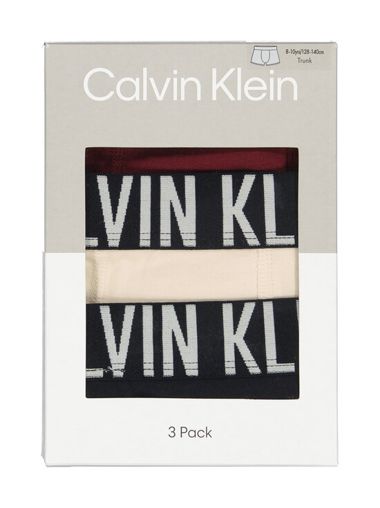 Calvin Klein Kids - Bokserialushousut 3-pack - 0WE RSPBRRYCHCLT/WHTCPGRY/PVHBLK | Stockmann - photo 3