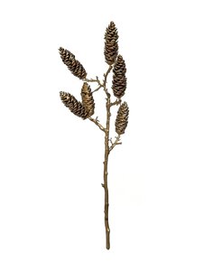 Shishi - Fir Cone -koristeoksa - GOLD | Stockmann