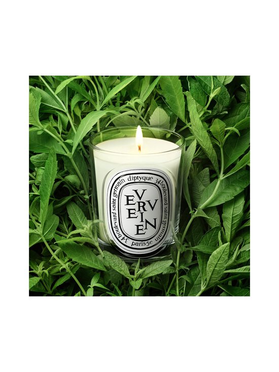 Diptyque - Verveine Classic -tuoksukynttilä 190 g - NOCOL | Stockmann - photo 4
