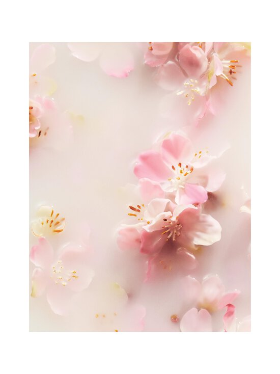 Rituals - The Ritual of Sakura 48h Anti-Perspirant Cream -antiperspiranttivoide - NOCOL | Stockmann - photo 2