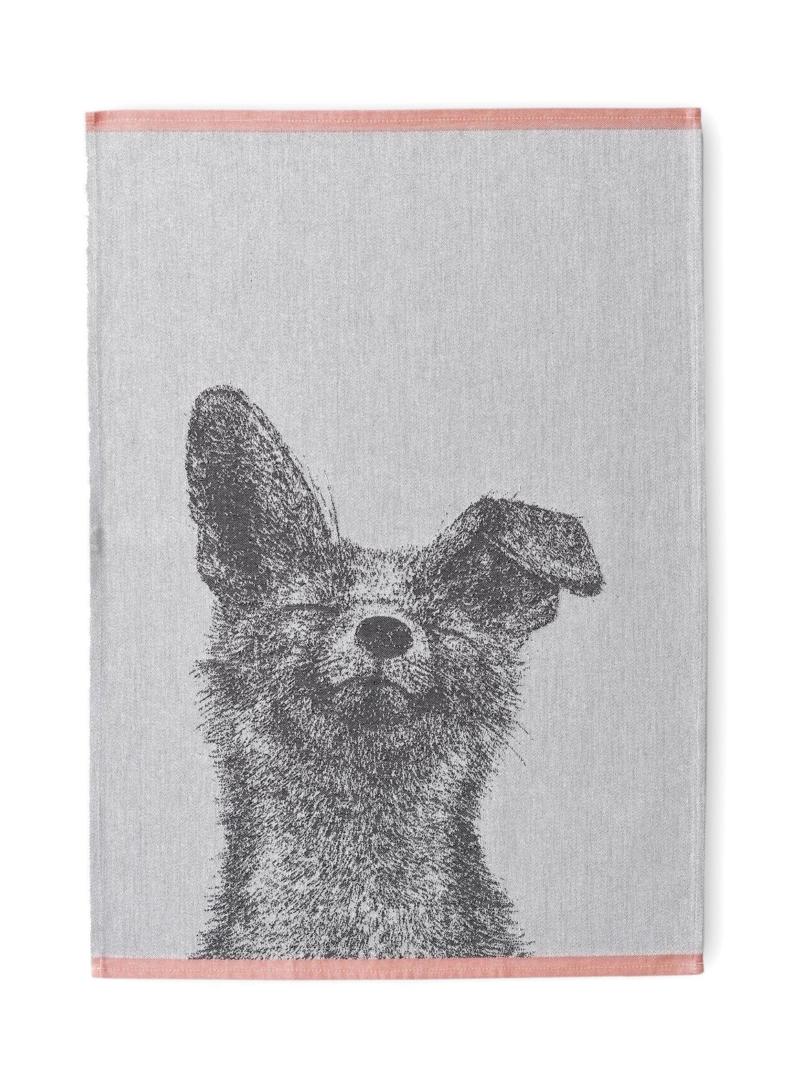 Kettu-keittiöpyyhe 50 x 70 cm, 2 kpl
