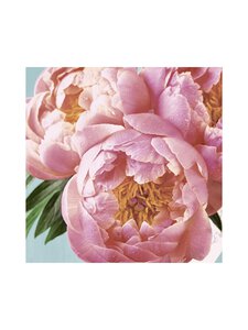 Paper+Design - Pink Peony -servetit 24 cm, 20 kpl - PINK | Stockmann