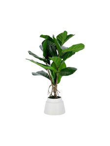 Kave Home - Lyrata-tekokasvi - VIHREÄ | Stockmann