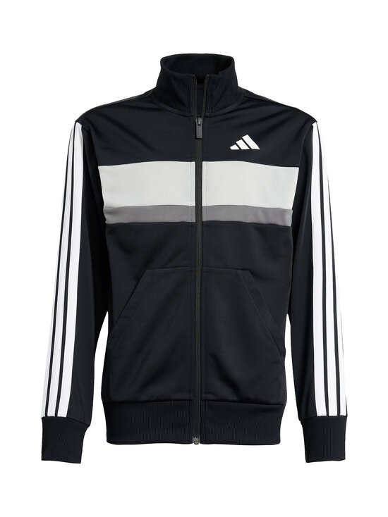 adidas Sportswear - Dressikomplekt Tiberio - JY0509 BLACK/WHITE/GRETWO | Stockmann - photo 2