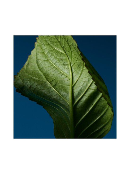 Calvin Klein - One Night Essence Parfum Intense  -tuoksu - NOCOL | Stockmann - photo 14