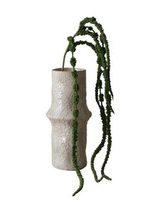 Botané - Green Amaranthus Caudatus Six Forks -koristekukka - GREEN | Stockmann