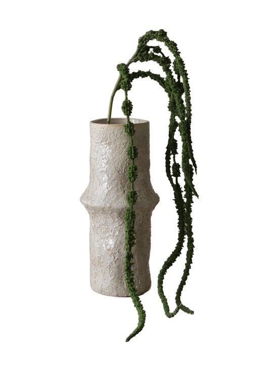 Botané - Green Amaranthus Caudatus Six Forks -koristekukka - GREEN | Stockmann - photo 1